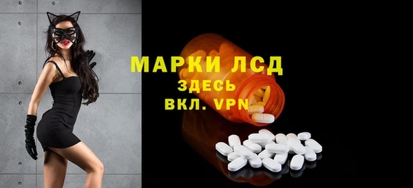 прущий лед Алзамай
