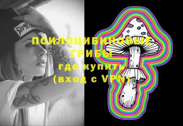 ПСИЛОЦИБИНОВЫЕ ГРИБЫ Алексеевка