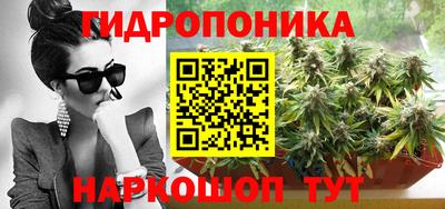 дмт Шебекино
