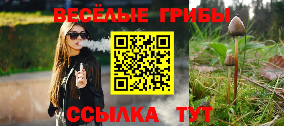 Находка  Галлюциногенные грибы прущие грибы  Вход с VPN 